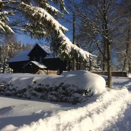 Ferienhaus In Mit Garten Und Terrasse Klingenthal
