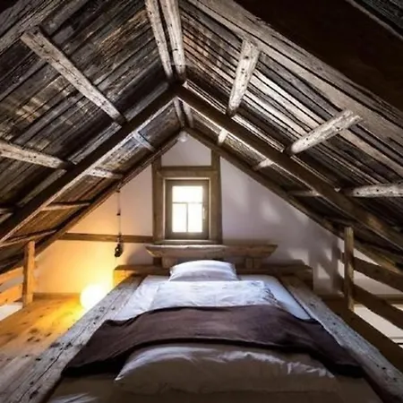 Ferienhaus In Mit Garten Und Terrasse * Klingenthal